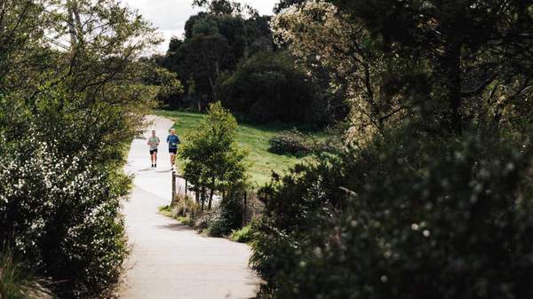 Best Hikes Near Melbourne walks