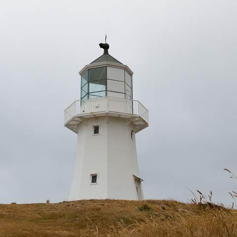 best walks in wellington