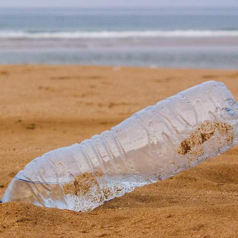 Europe Is Set to Do the World's Oceans a Solid By Banning Several Single-Use Plastic Items