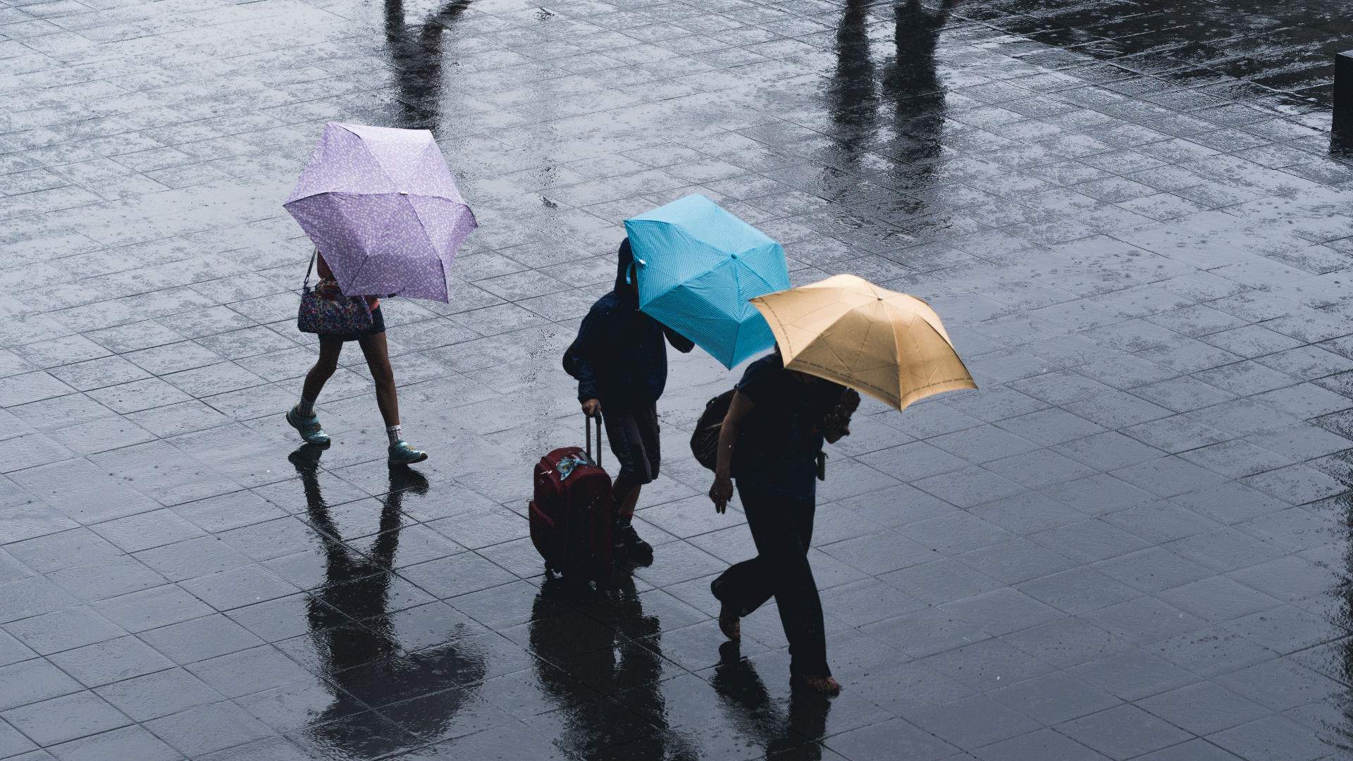 A Severe Thunderstorm Warning Has Been Issued for Sydney So Stay Safe and Dry