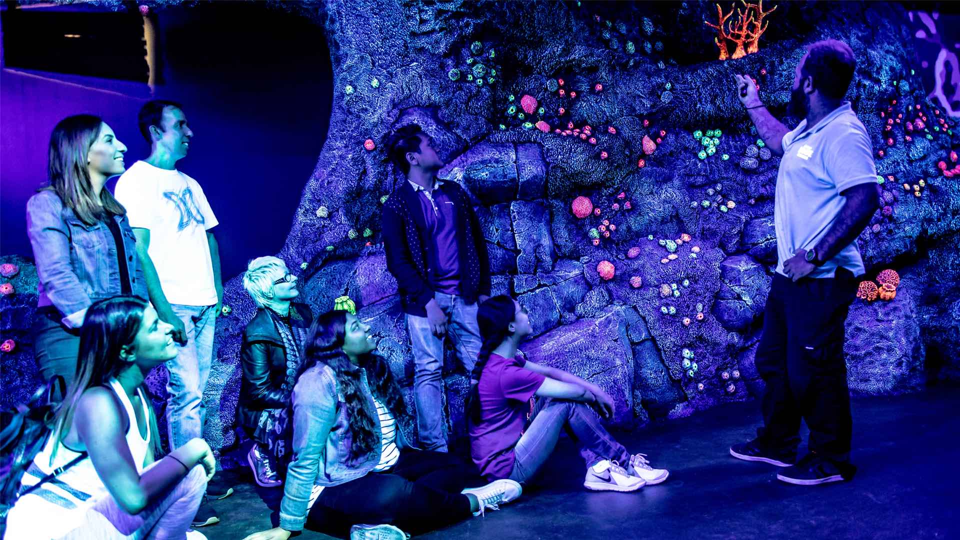 24 Hours at the Aquarium, Sydney