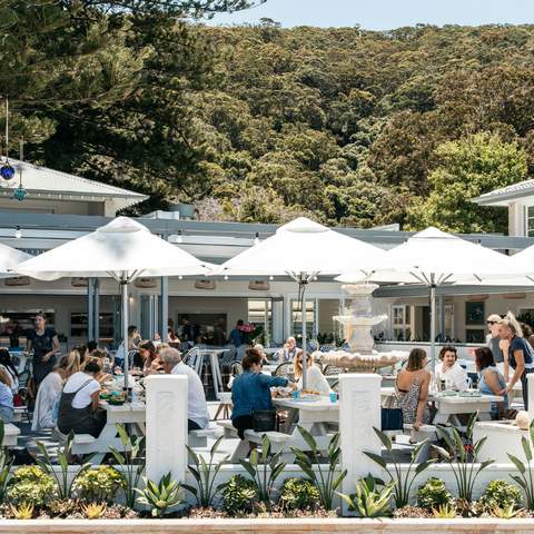 day trips best from sydney