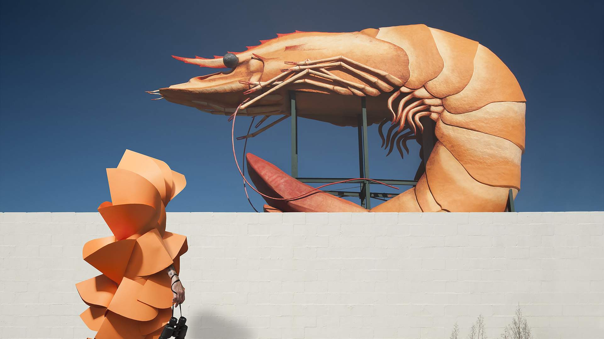 Dress Code, Brisbane