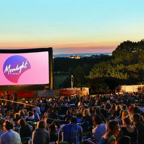 Moonlight Cinema 2018–19