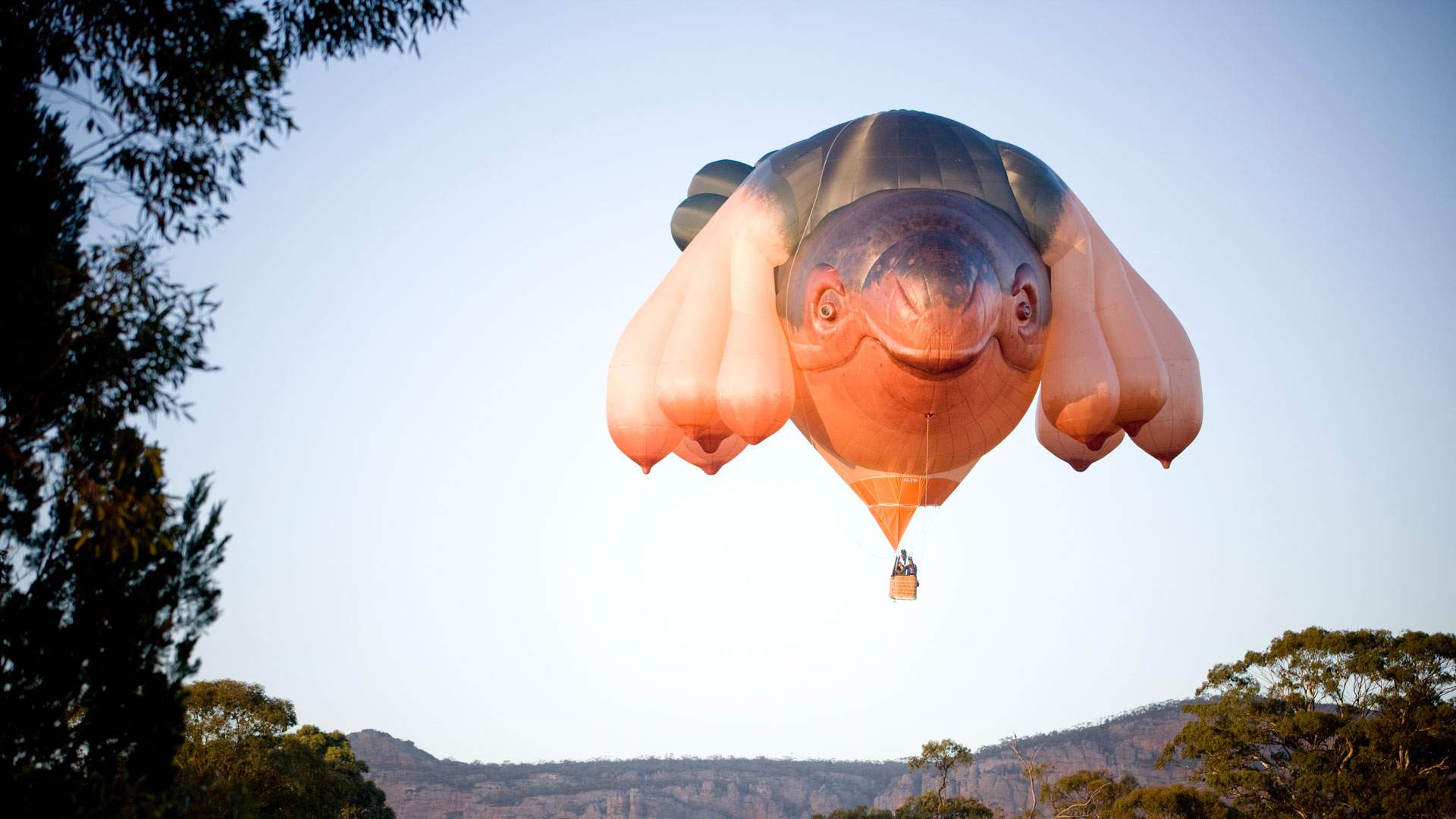 Patricia Piccinini's Otherworldly 'Skywhale' Flew Over the Yarra Valley This Morning
