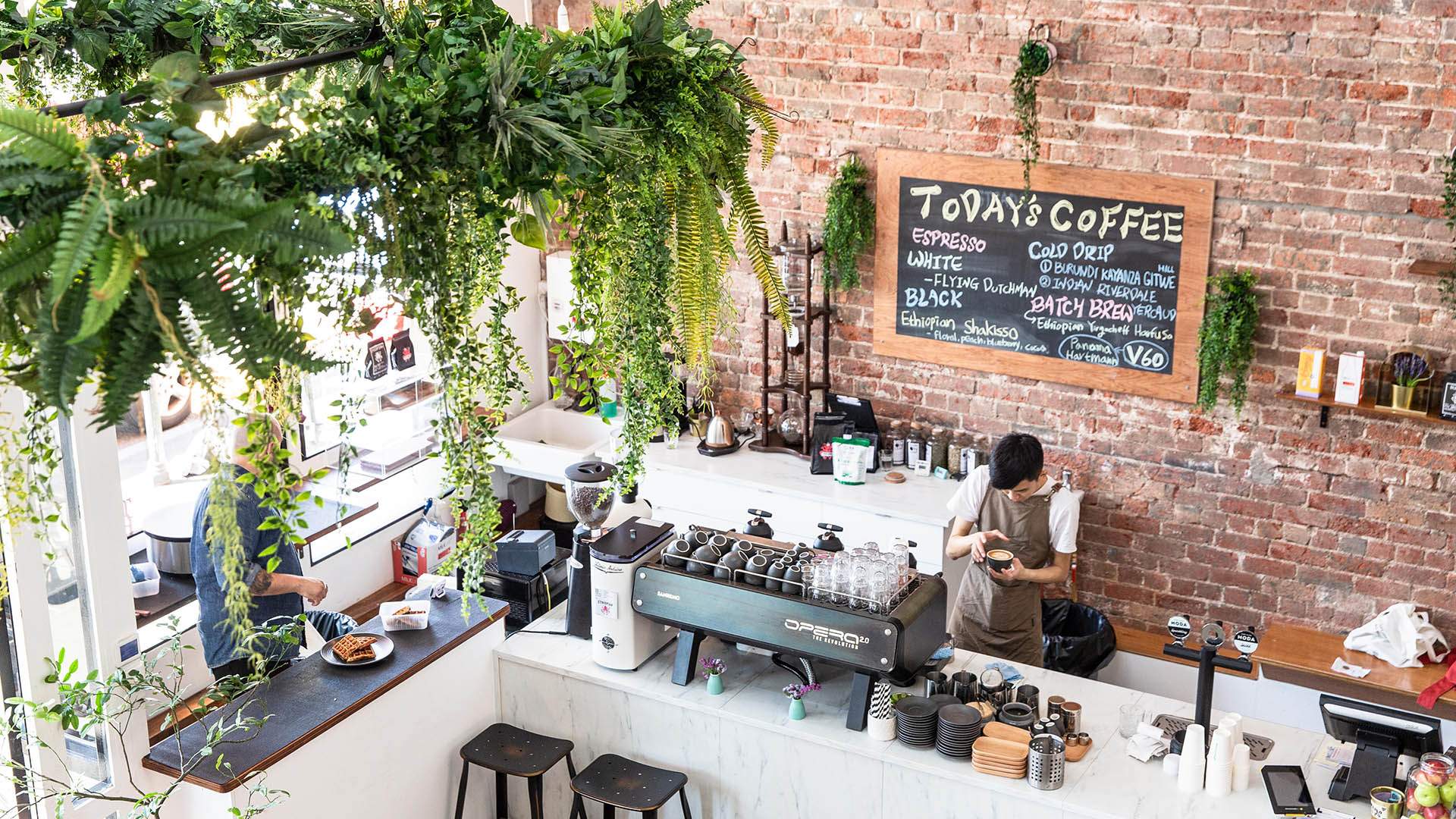 The Coventry Is South Melbourne's New Greenery-Filled Daytime Eatery