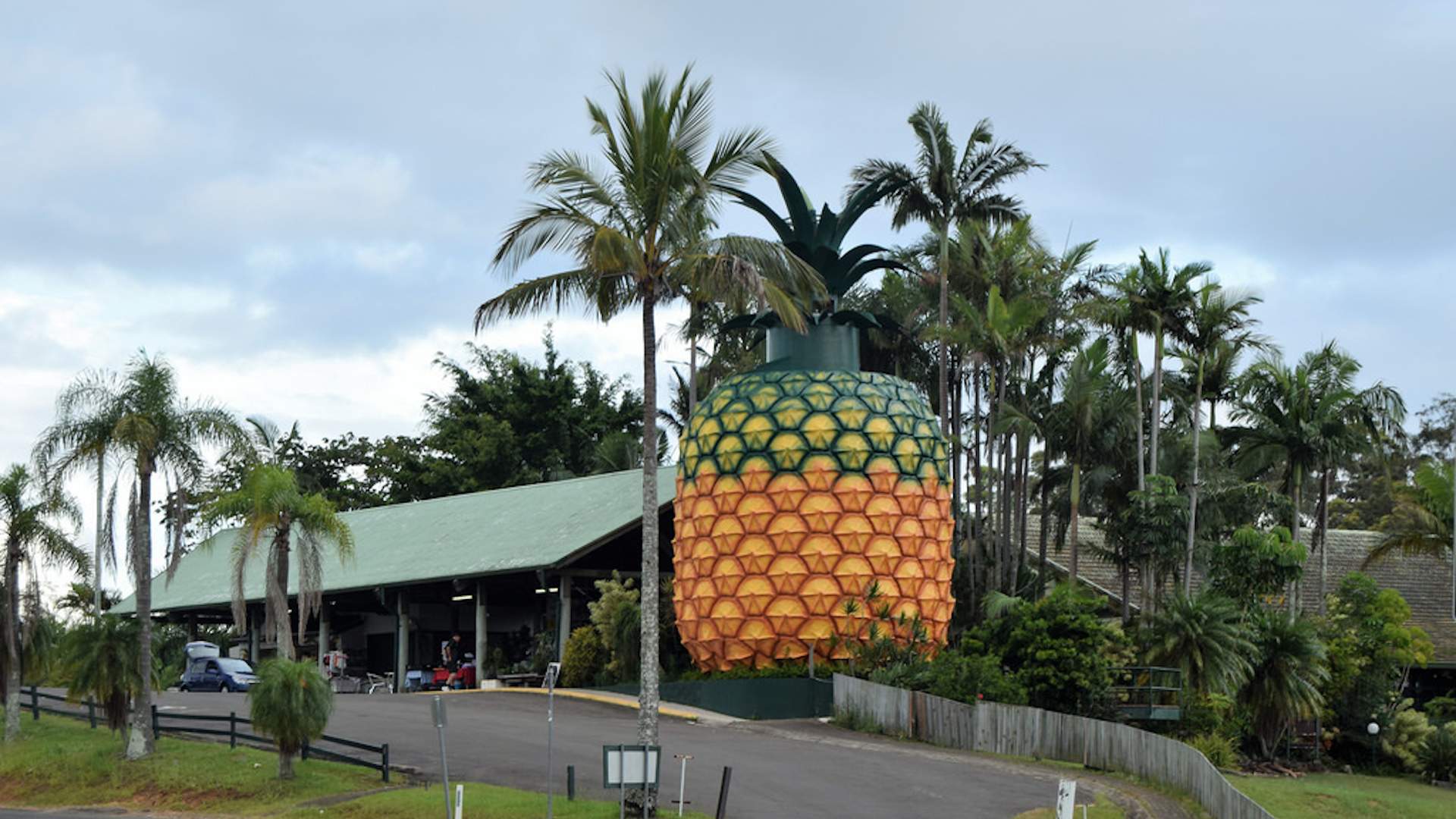 The Big Pineapple Craft Beer and Cider Expo