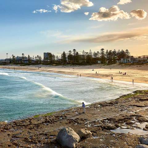 day trips best from sydney