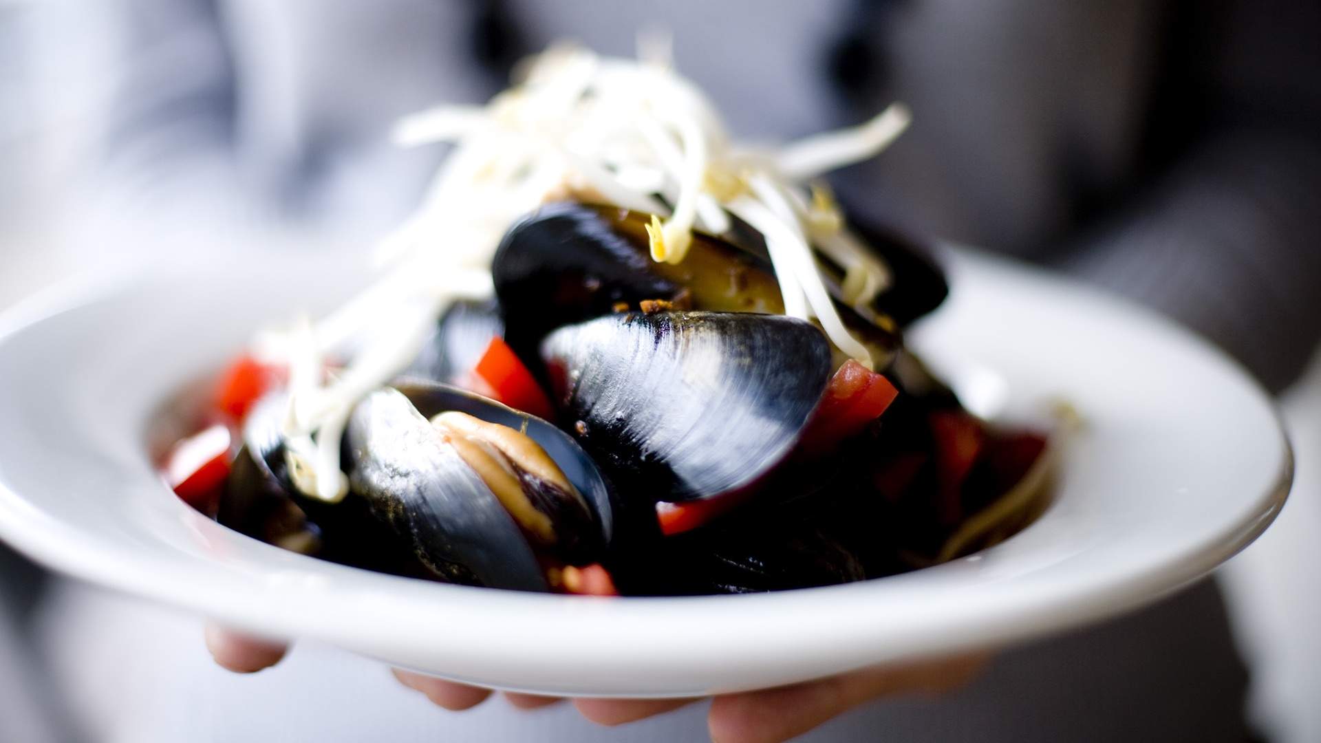 Portarlington Mussel Festival 2020, Melbourne