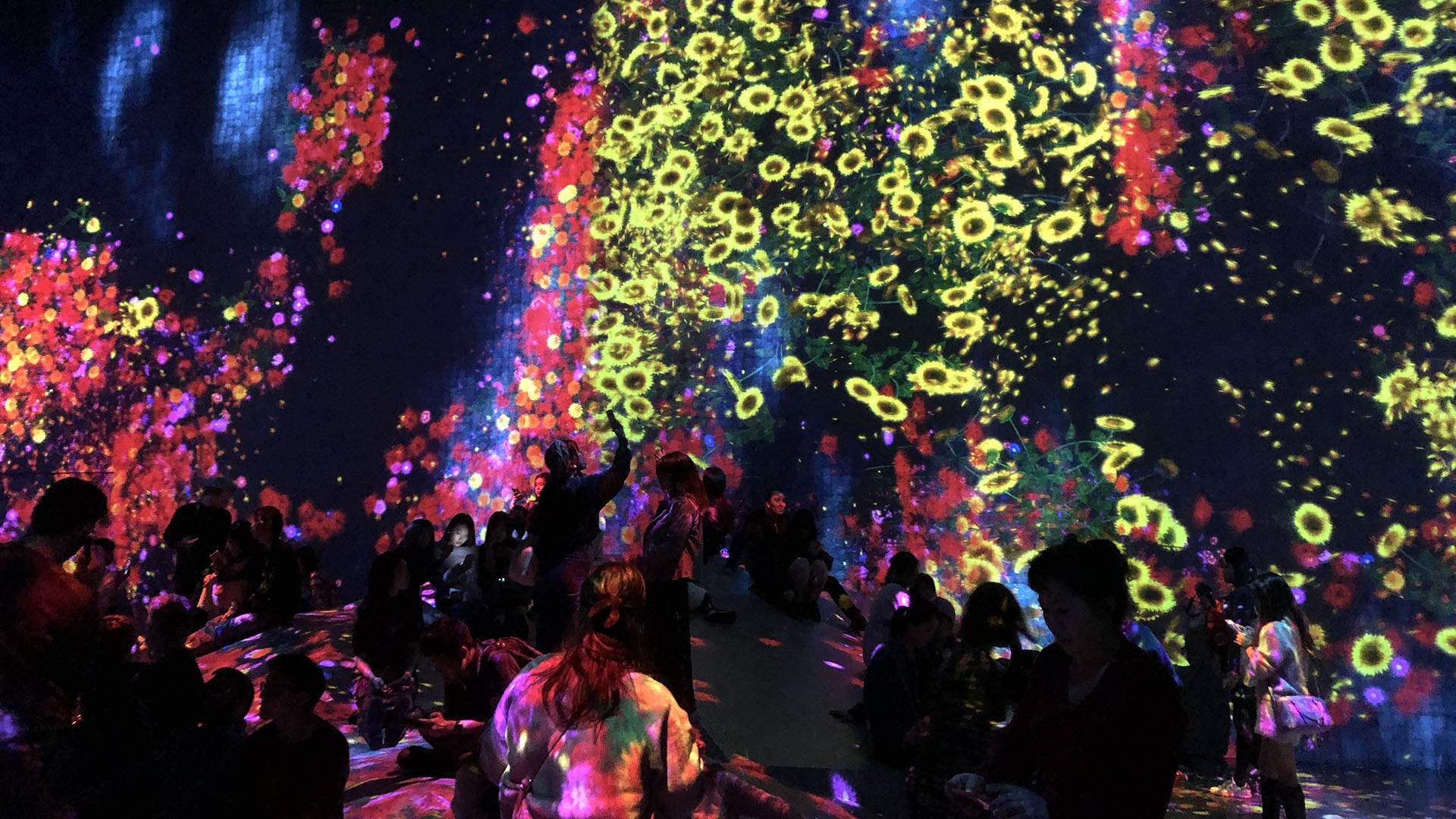 Seven Dazzling Things You Can Do at Japan's Dreamlike Borderless Digital Art Museum