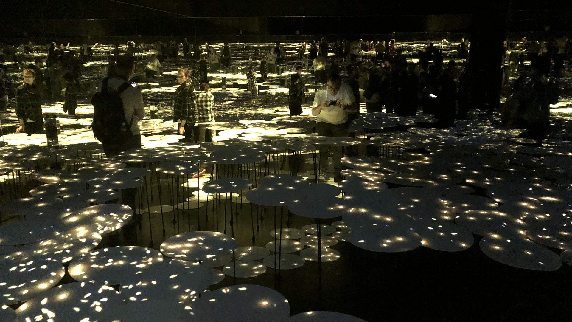 Seven Dazzling Things You Can Do at Japan's Dreamlike Borderless Digital Art Museum