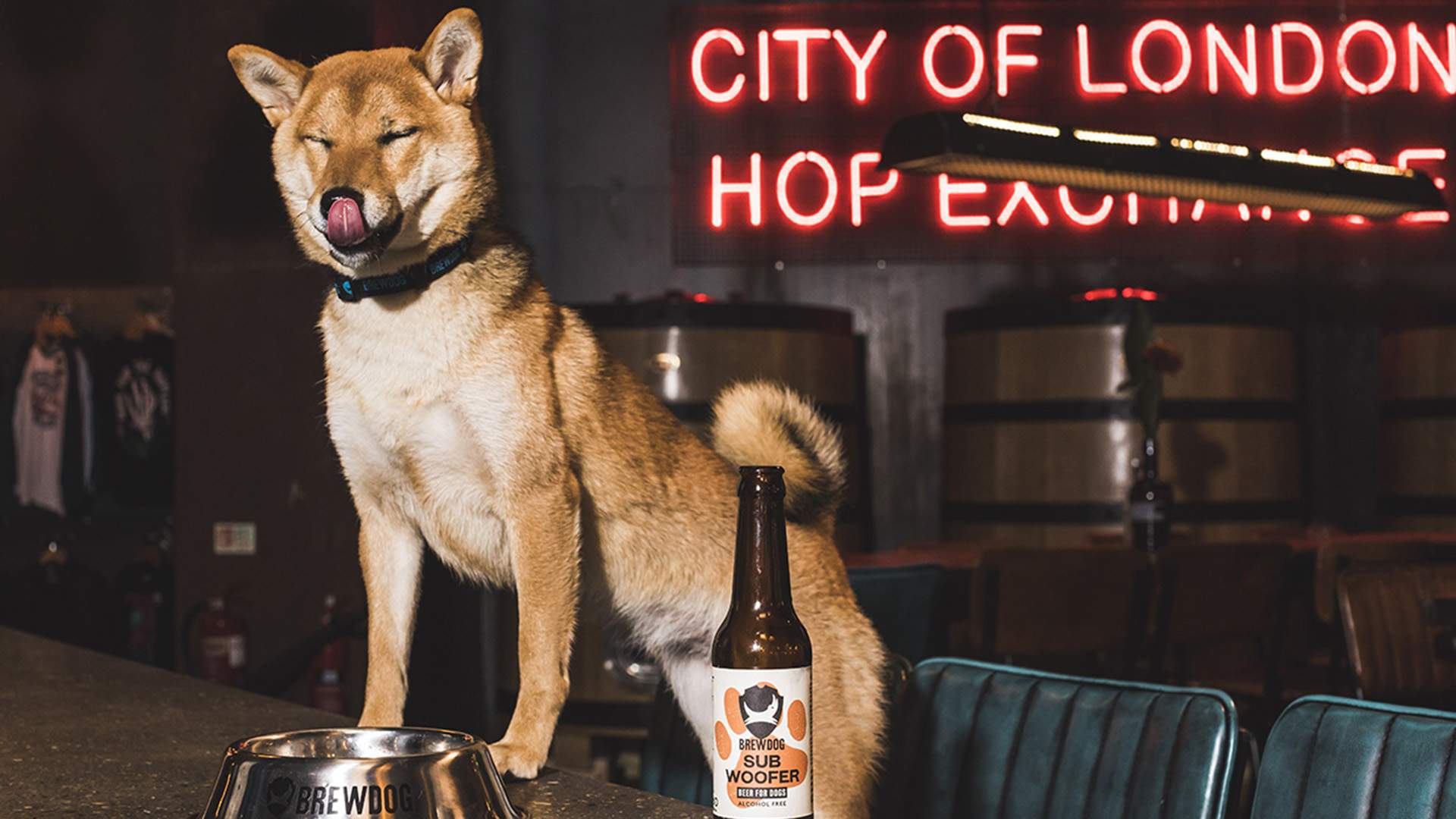 BrewDog Has Just Launched a (Very Fitting) Craft Brew for Dogs
