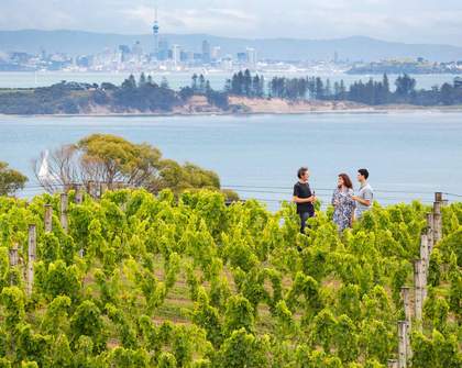 Six World-Class Wineries You Can Visit on a Day Trip From Auckland