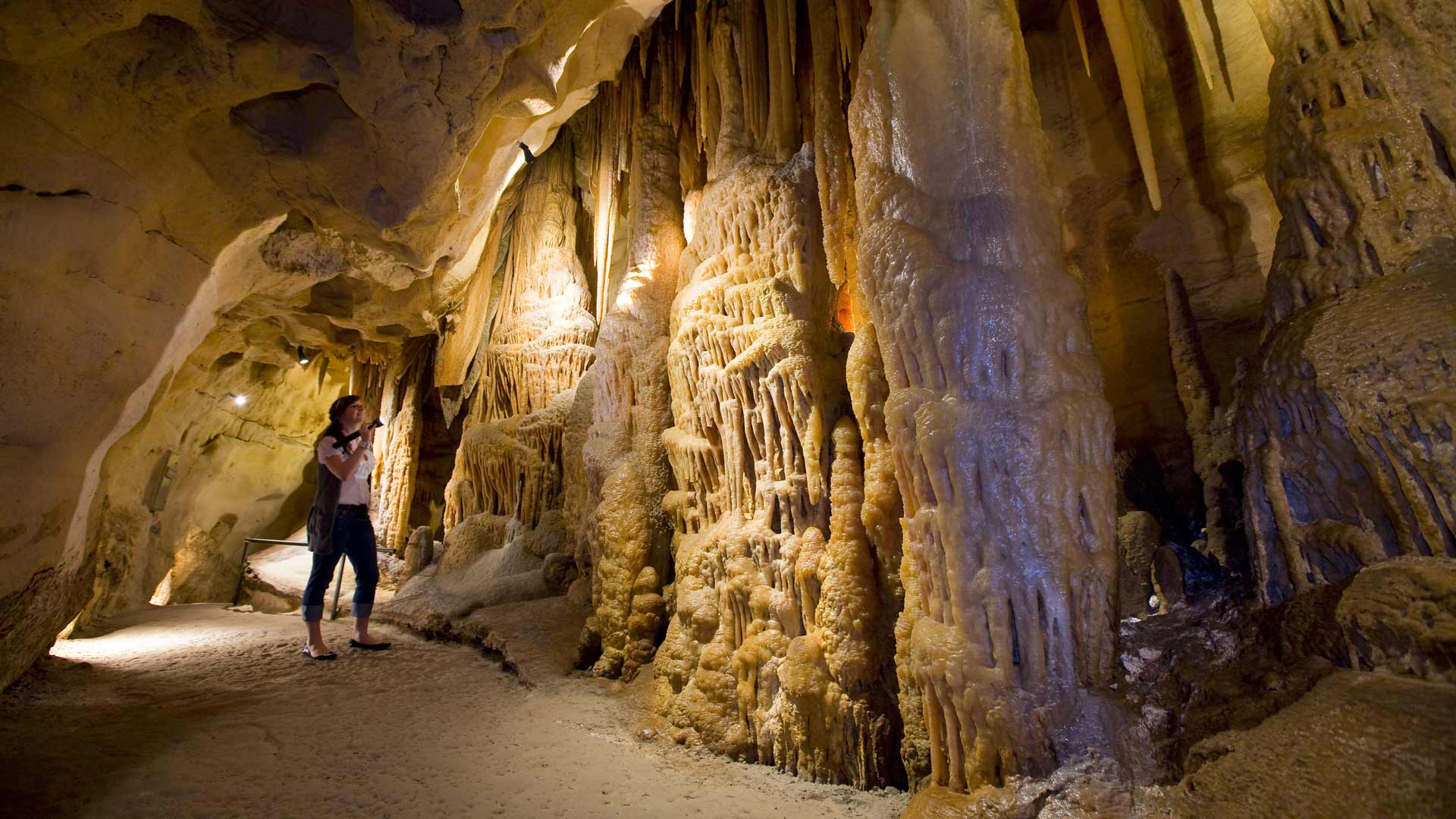 The Five Best Caves to Visit Near Melbourne Concrete Playground