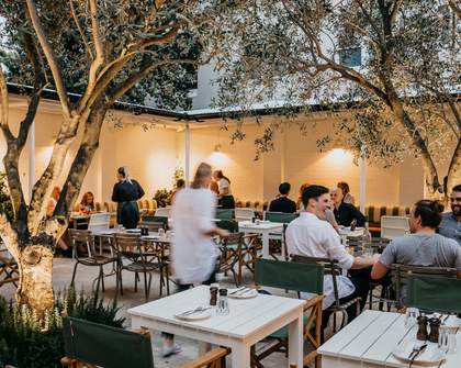 Seven Newer Sydney Restaurants to Try for Dinner This Week