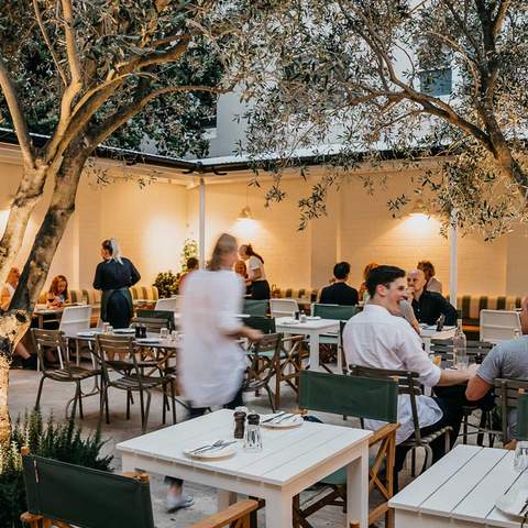 best italian restaurants in sydney - totti's bondi