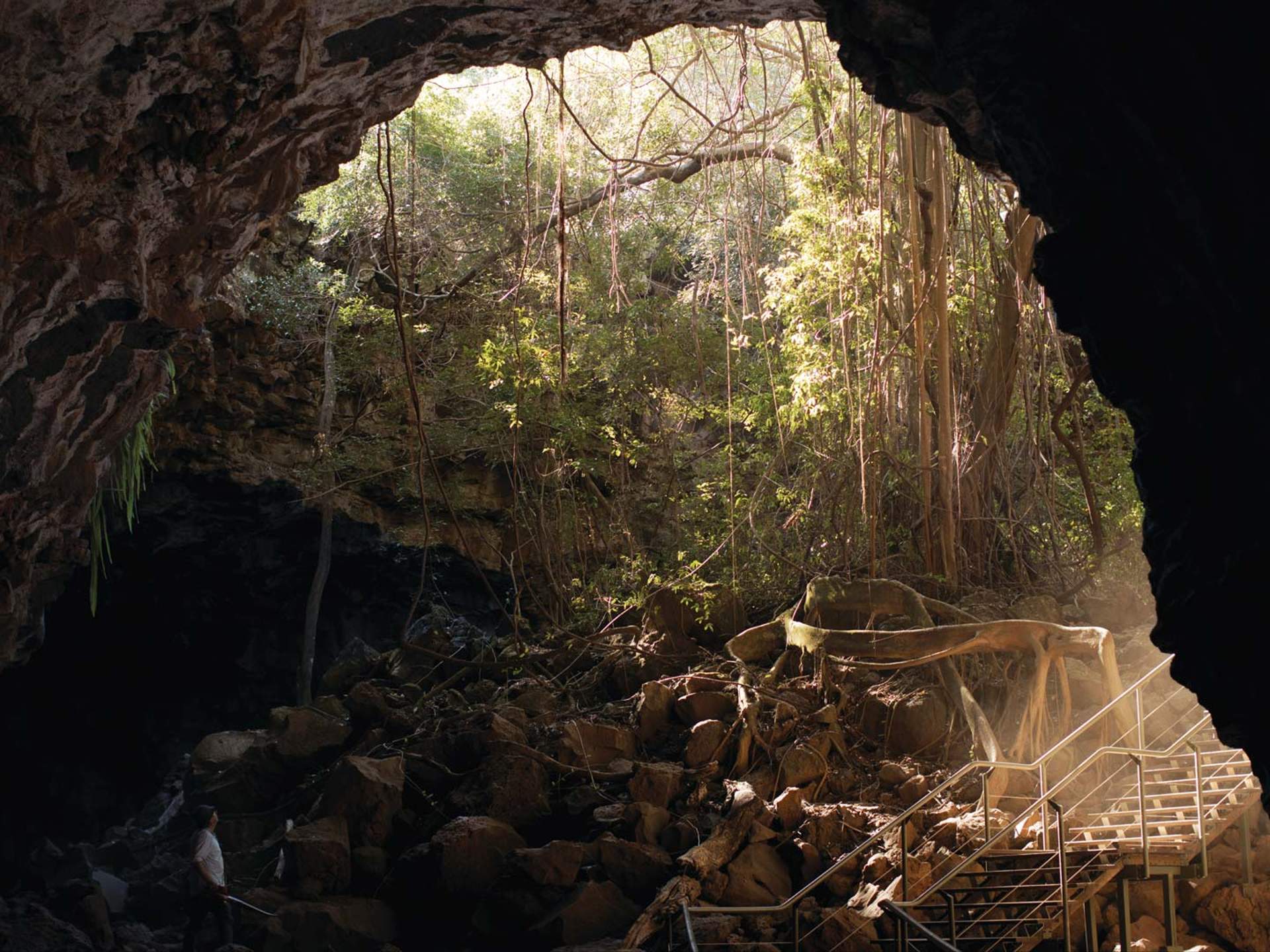 Big mother nature cave. Растения в пещерах. Трава в пещере. Цветок в пещере. Mother nature's Cave.