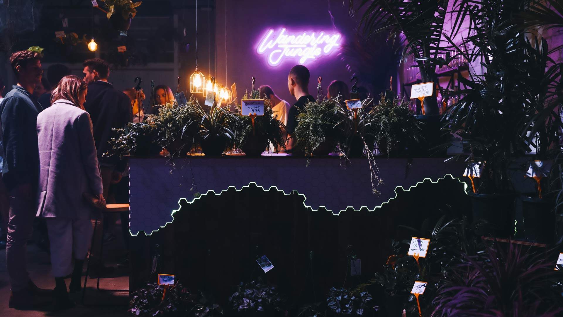 Night Plant Sale feat. The Journey