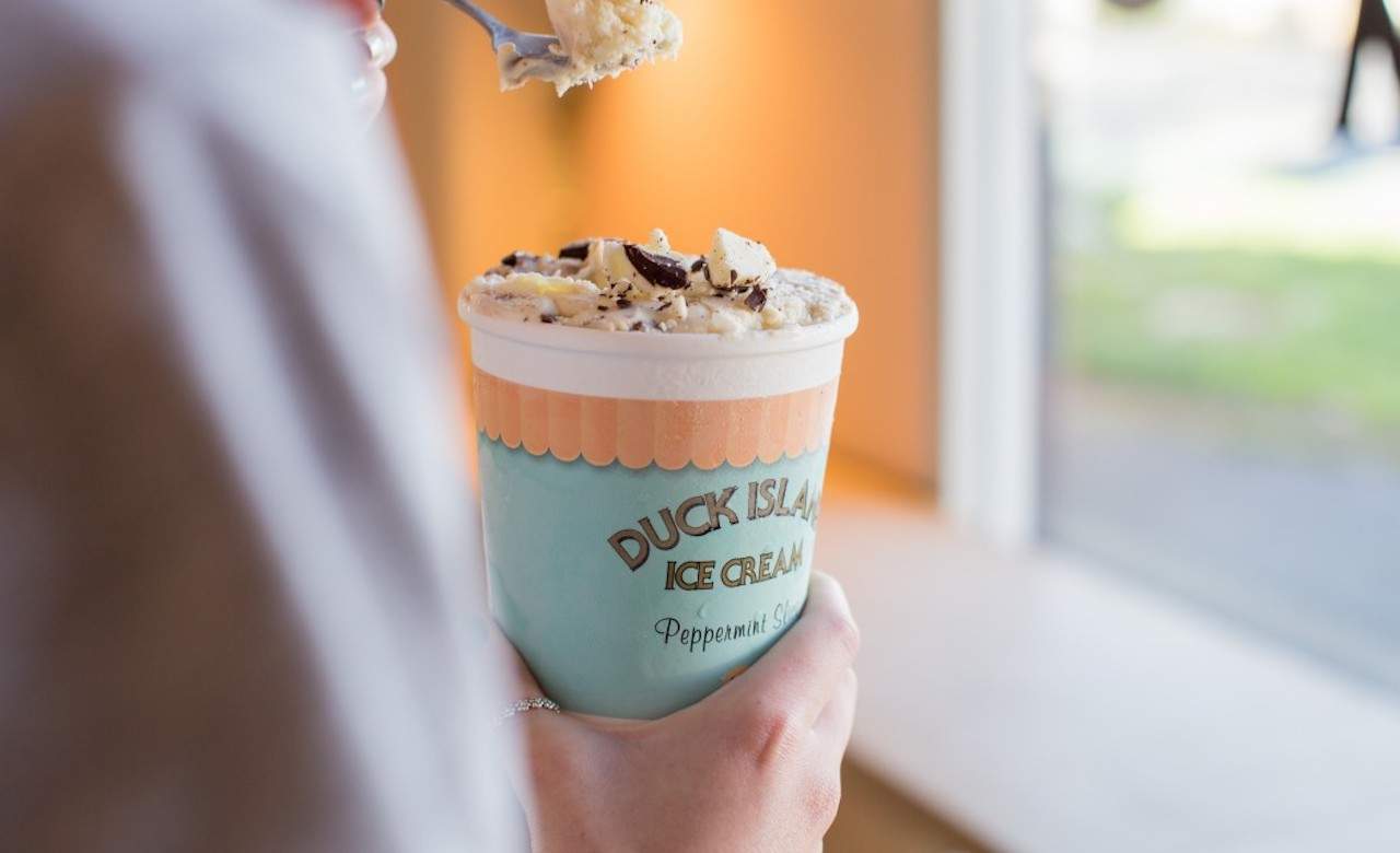 Duck Island Ice Cream, Auckland Review