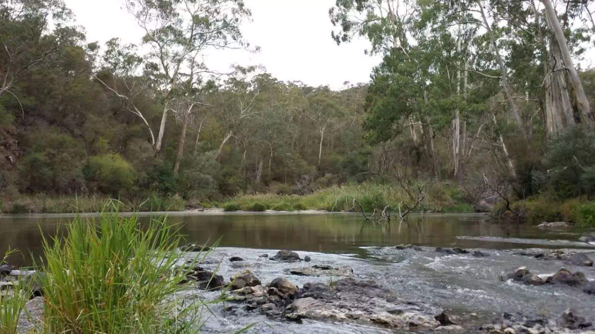 The Most Unusual Swimming Holes to Try Around Melbourne - Concrete Playground ...