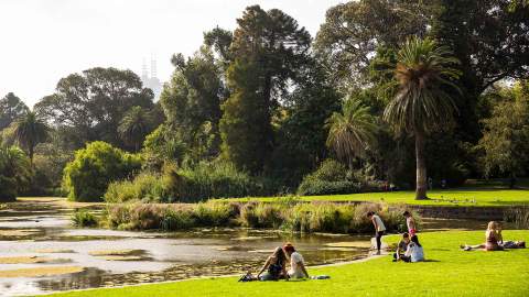 Ten of the Best Picnic Spots in Melbourne