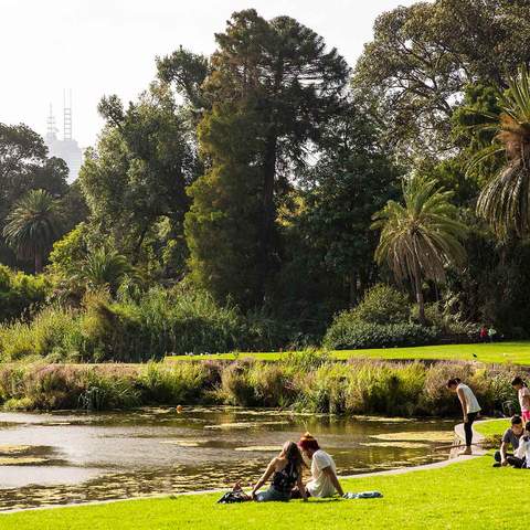 Ten of the Best Picnic Spots in Melbourne