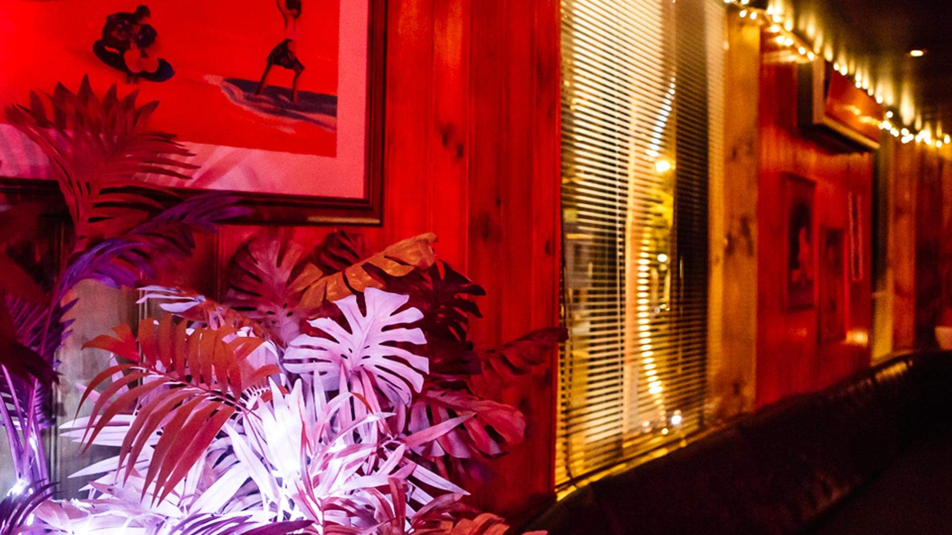The Lame Duck Is Fitzroy's New Retro Disco Dive Bar with a Shrine to Cher