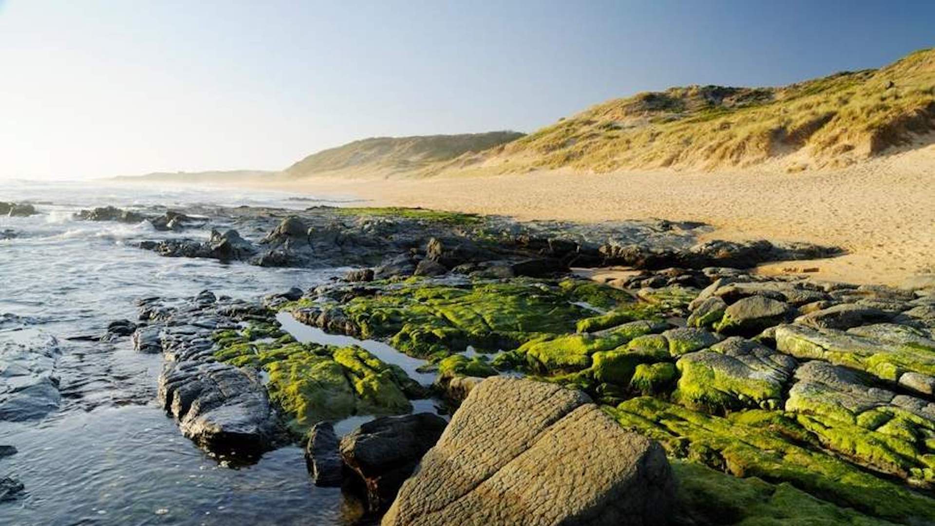 BUNURONG MARINE NATIONAL PARK, NEAR INVERLOCH - best snorkelling near Melbourne.