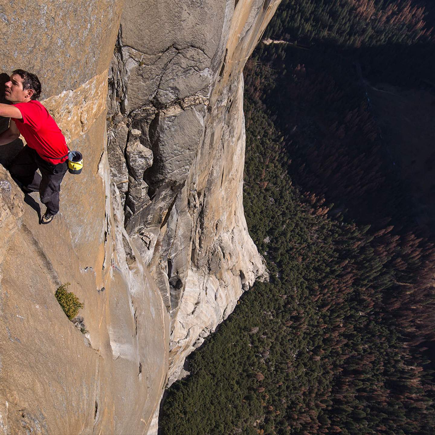 Rock Climbing Disney+ Free Solo Solo Climbing Watch Free Solo