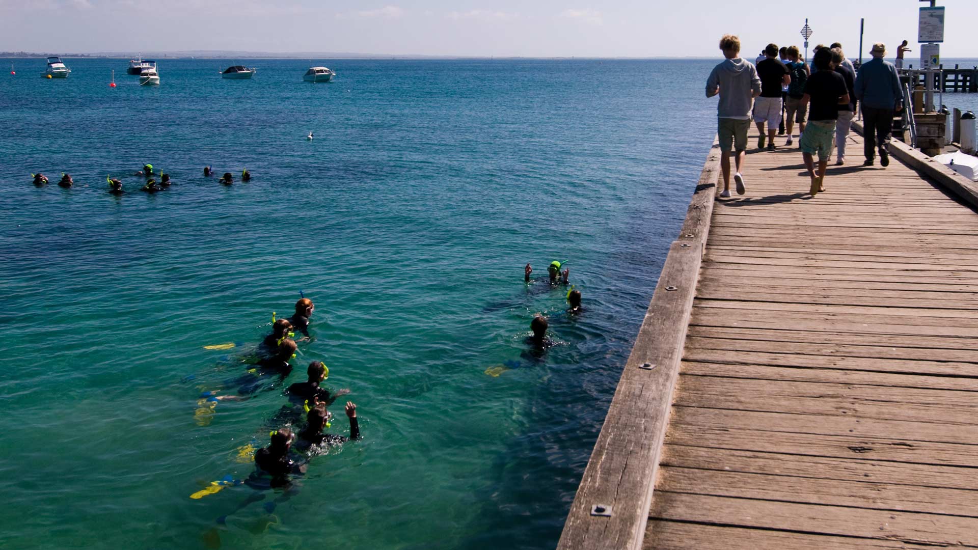 The Five Best Snorkelling Spots Near Melbourne