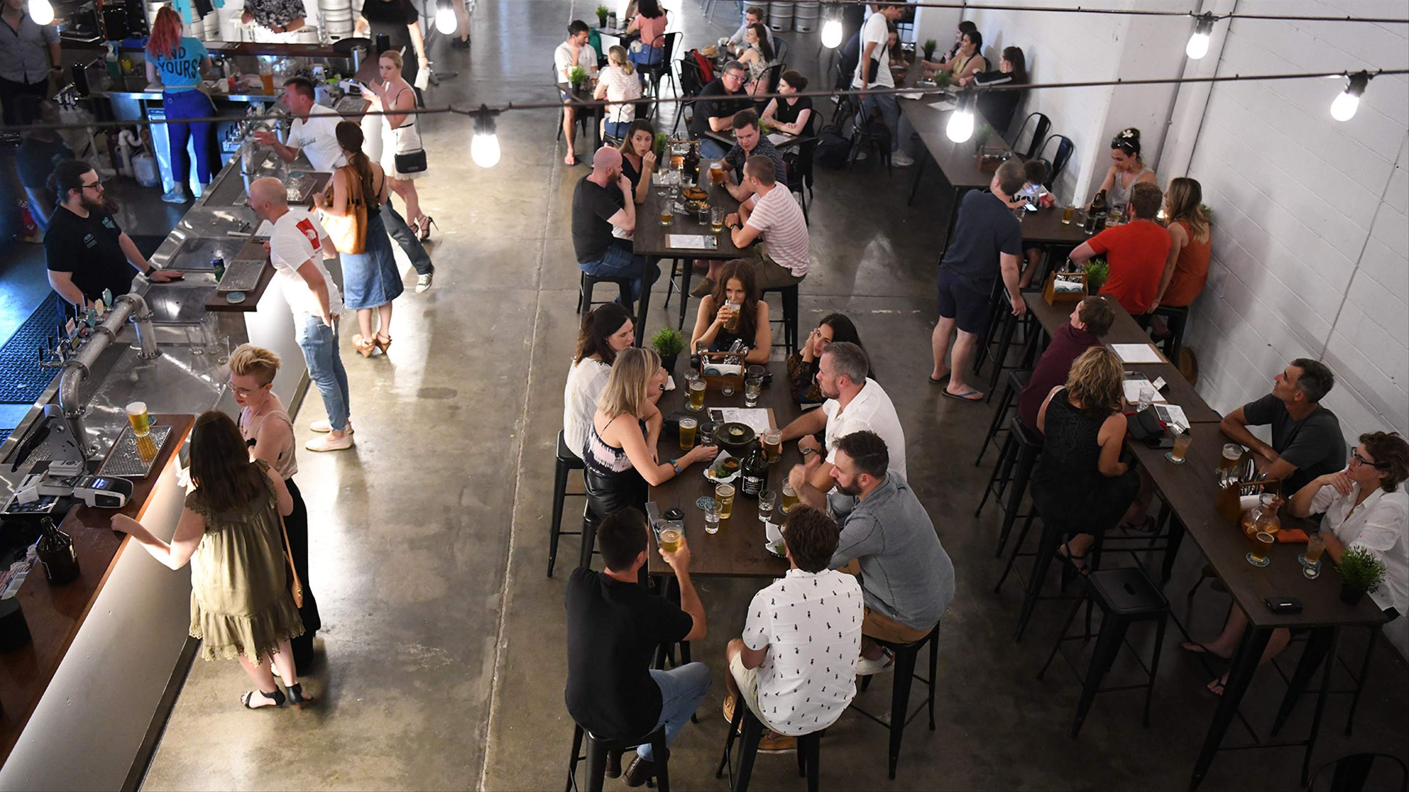 Sea Legs Brewing Co, Kangaroo Point Review