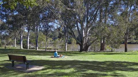 Peaks to Points Festival 2021