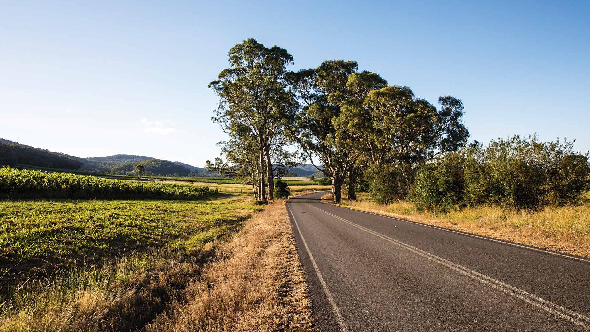 How to Spend a Prosecco-Filled Weekend Away in the King Valley