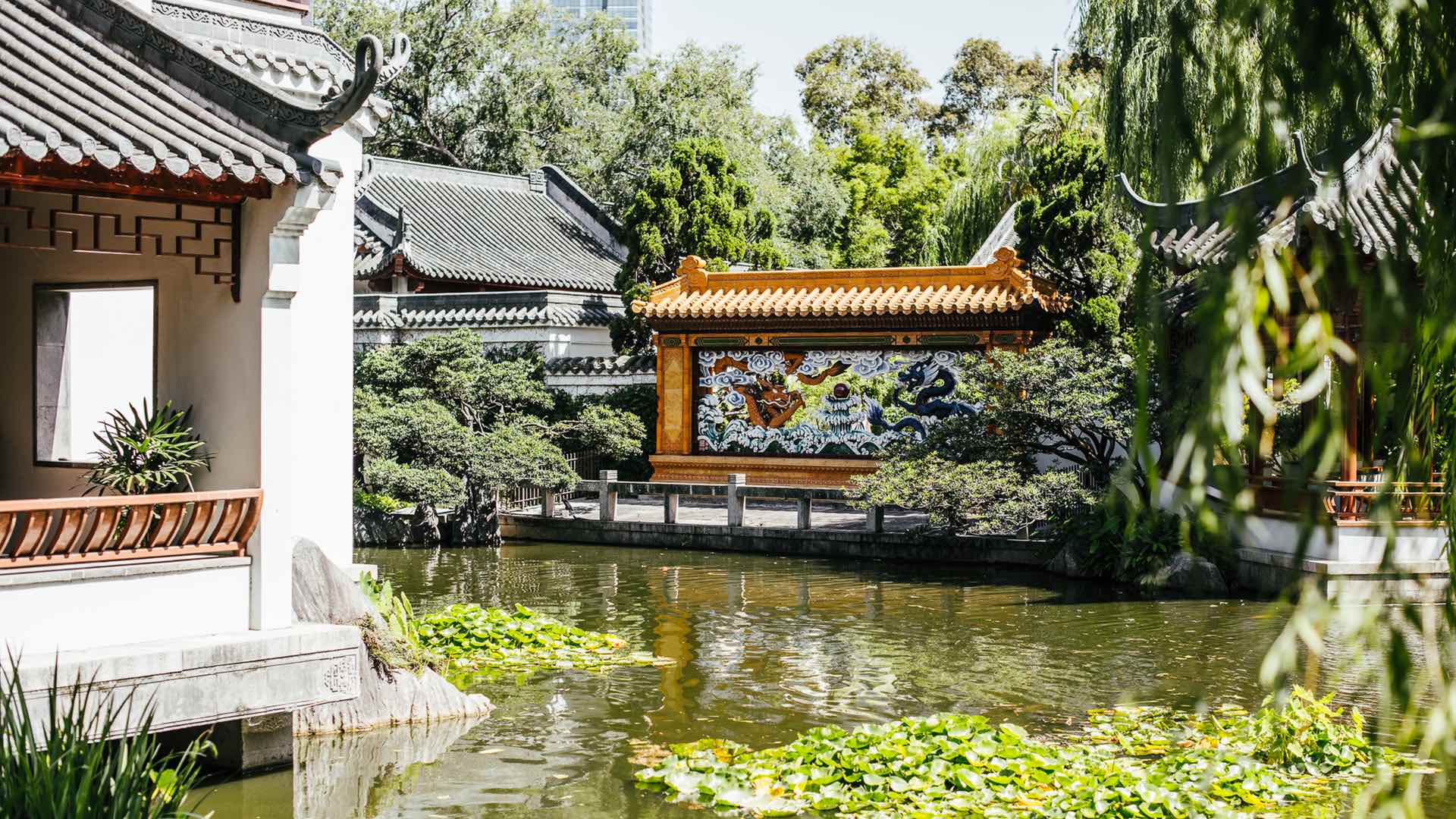 the-teahouse-in-sydney-s-tranquil-chinese-garden-of-friendship-has-been