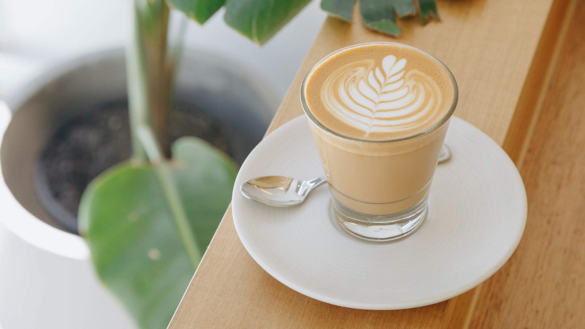 Melbourne Coffee Pioneer Industry Beans Has Opened Its First Sydney Cafe