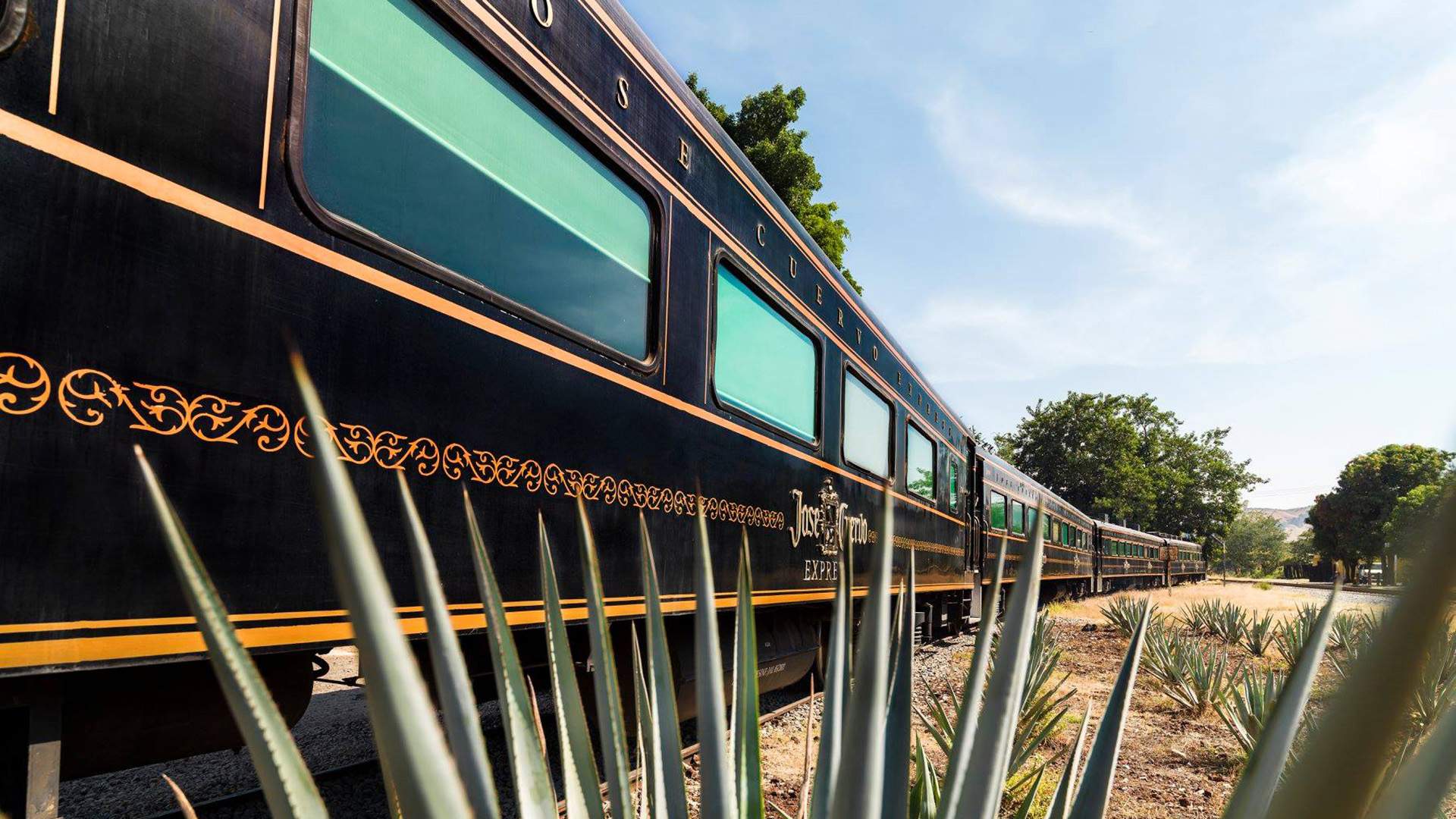 You Can Take an All-You-Can-Drink Tequila Train Tour Through Mexico