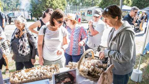 Meeniyan Garlic Festival 2020