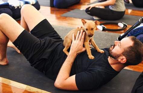 Pop-Up Puppy Yoga and Adoption Day