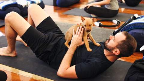 Puppy Yoga