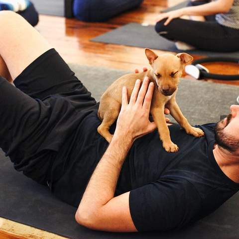 Puppy Yoga