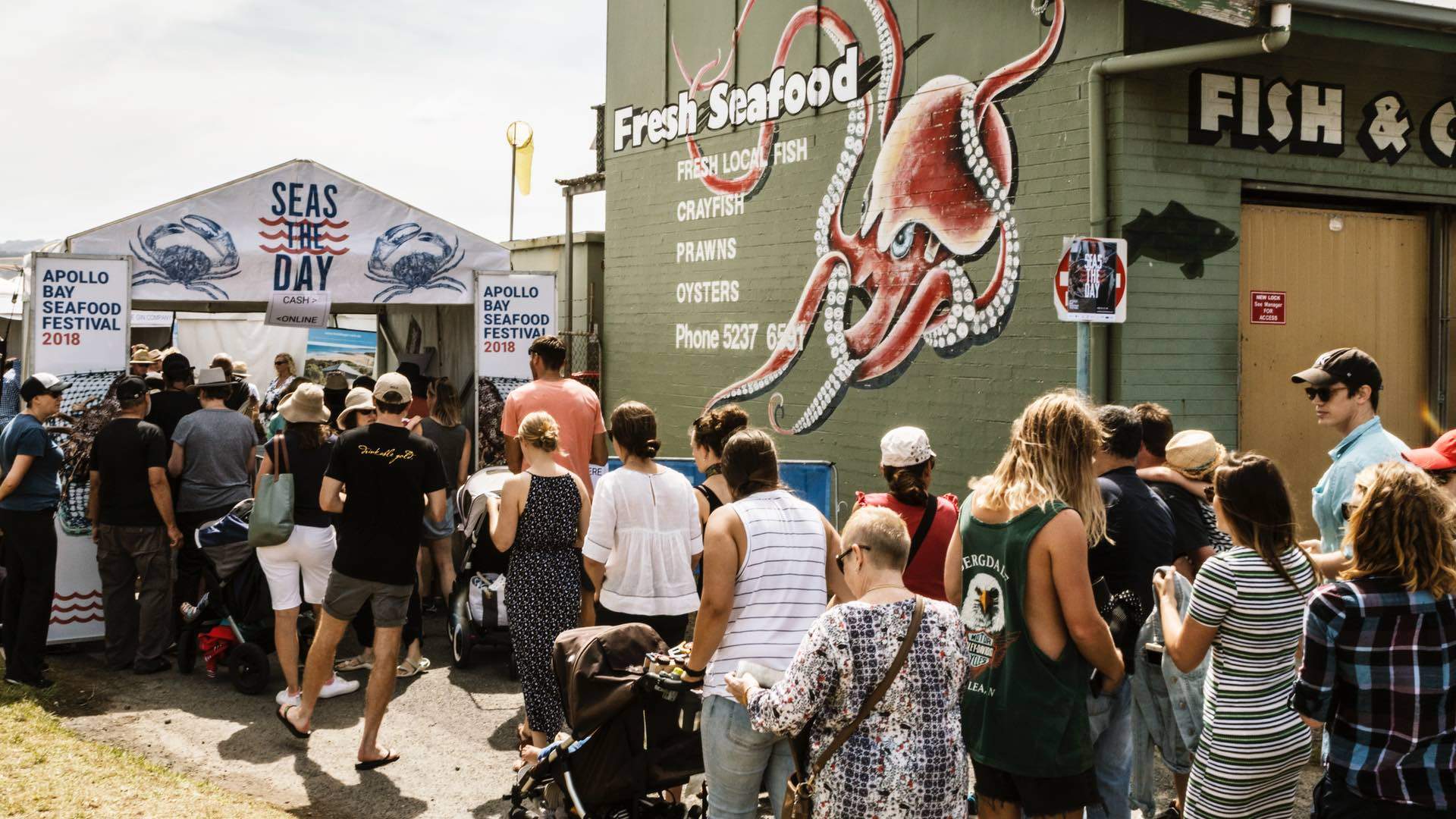 Apollo Bay Seafood Festival 2020, Brisbane