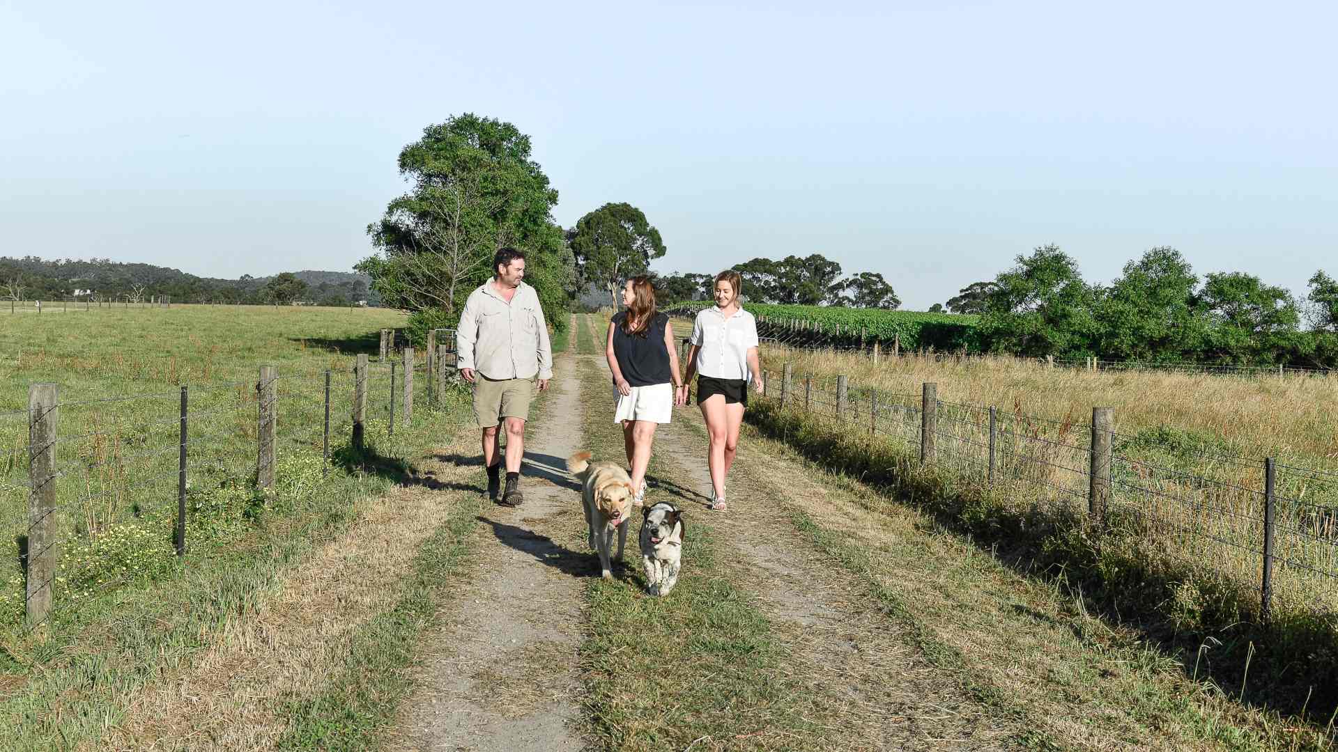 Five Wineries to Visit with Your Dog This Autumn in Regional Victoria