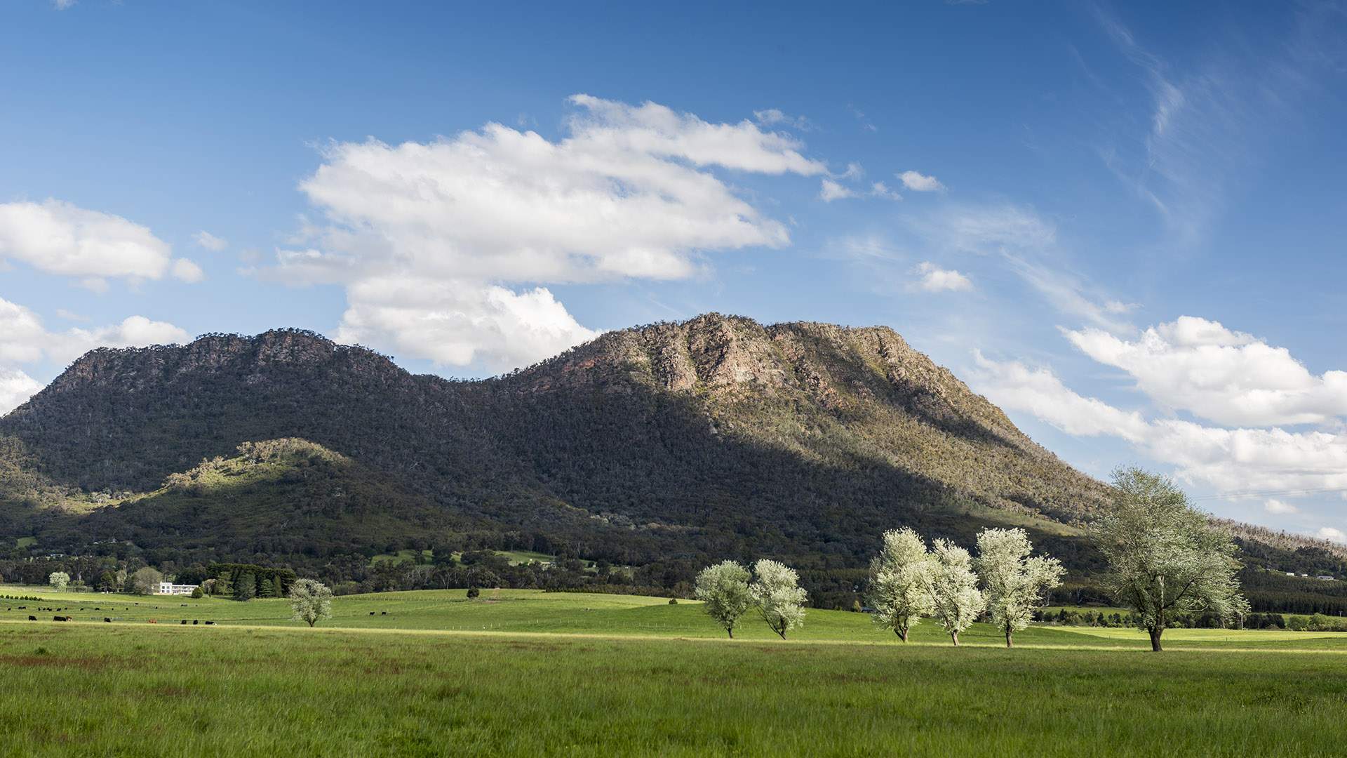 the-best-mountain-walks-near-melbourne-for-2023