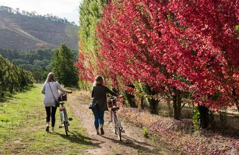 Top Autumnal Sights to See in Regional Victoria This Season