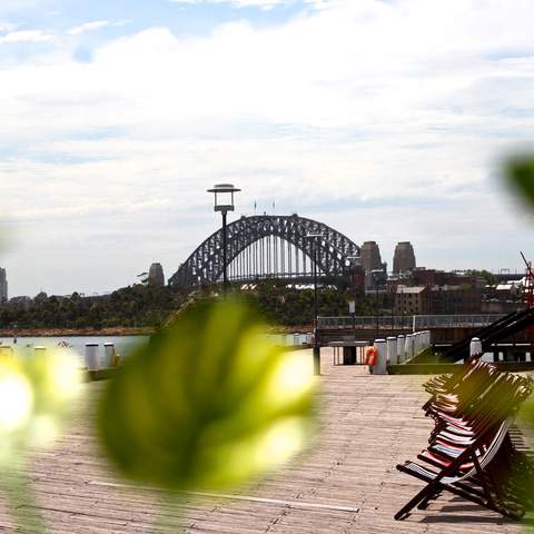 Sparkling Sydney