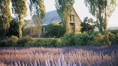 Lavandula Swiss Italian Farm - CLOSED