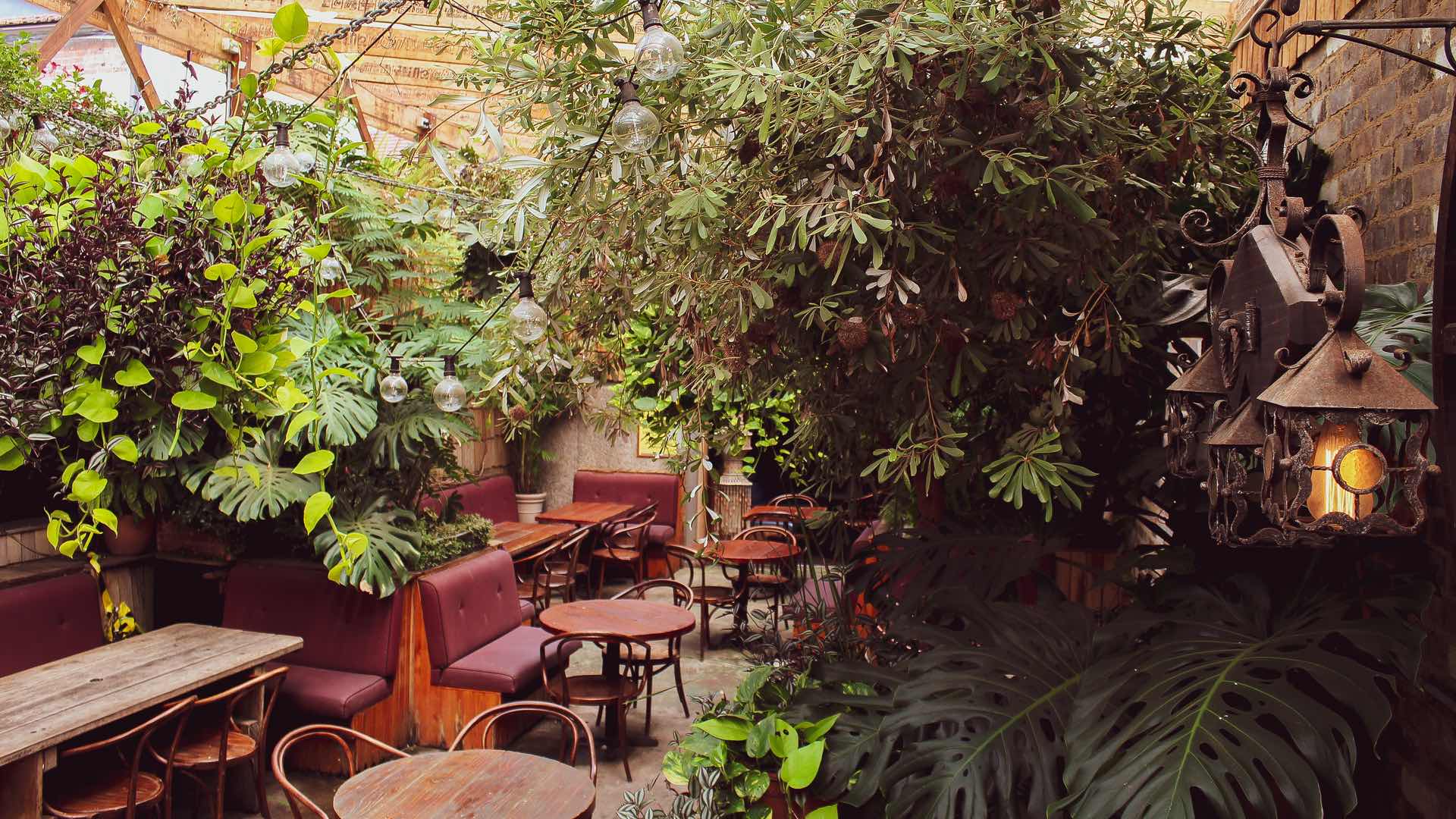Petersham's Oxford Tavern Has Relaunched with a Leafy New Beer Garden