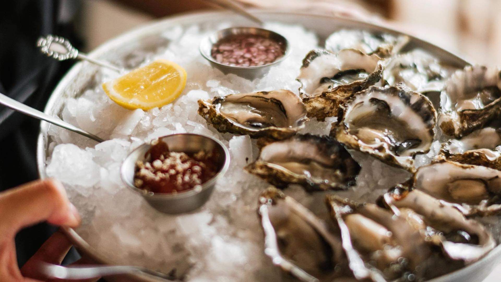 Where to Get Oysters Under 3 in Auckland Concrete Playground