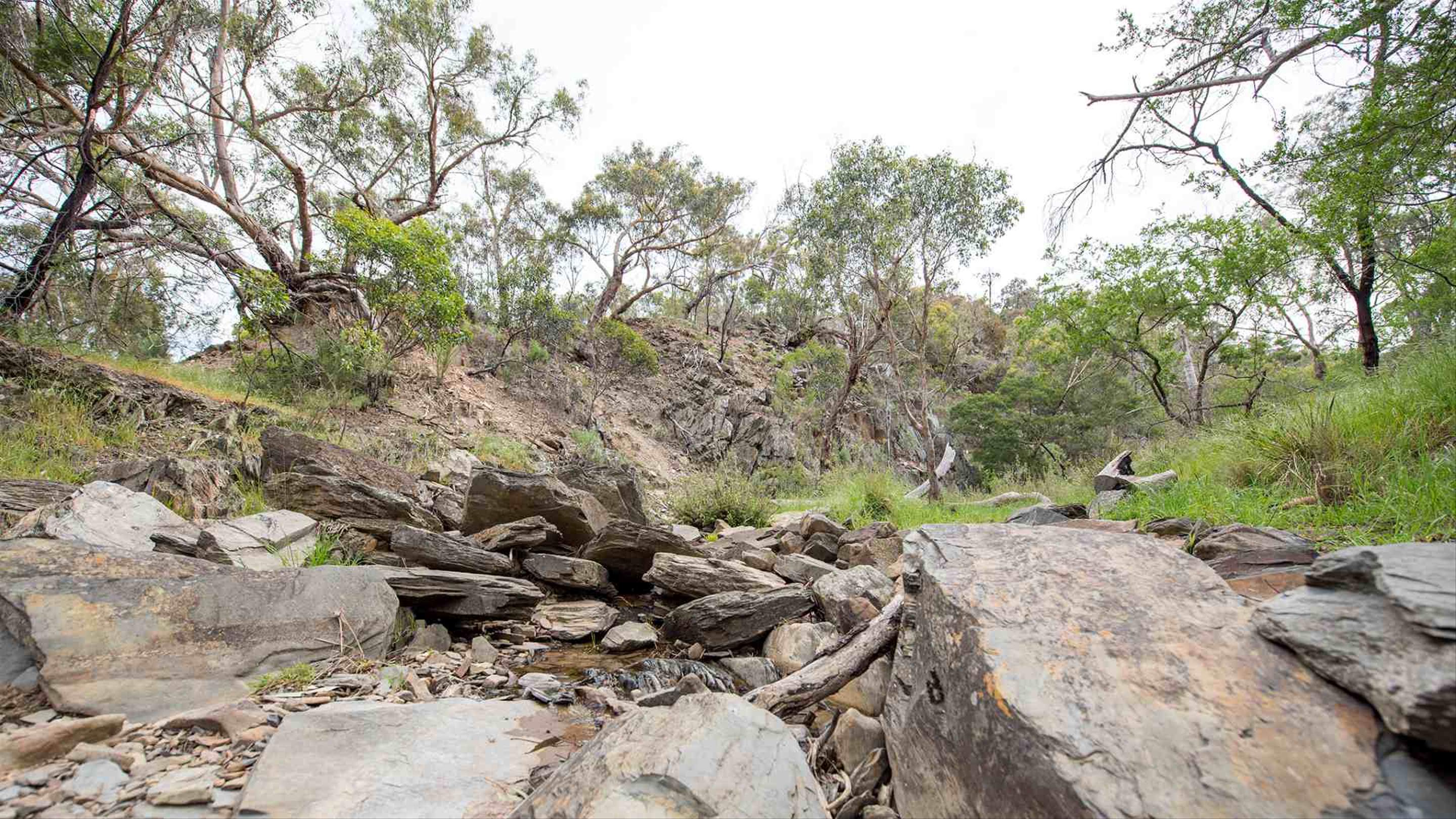 Five Stellar Overnight Hikes to Trek Near Melbourne Concrete Playground