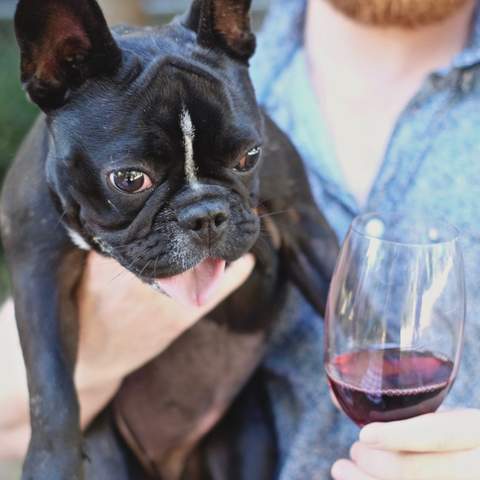 Puppies & Pinot